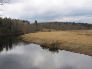 Река оредеж фото ленобласть